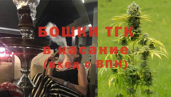 PSILOCYBIN Беломорск
