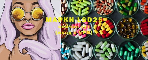 PSILOCYBIN Беломорск