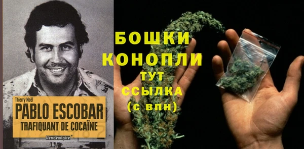 соль ск Нея